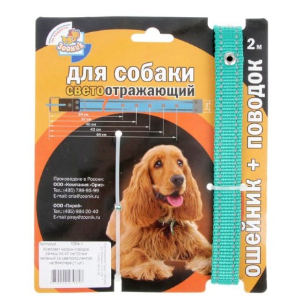Kapon zoonik set, collar 33-47 x 2 cm and leash 2 m, green-1