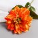 Artificial flowers "Georgin Extra Galant" 60 cm D-15 cm, orange