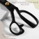 Cliped, mowed blade, rubberized handles, 11 ", 28 cm, black color, black