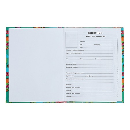 Universal Diary 1-11 grade Patches, 40 sheets, solid cover, glossy lamination, offset block-3