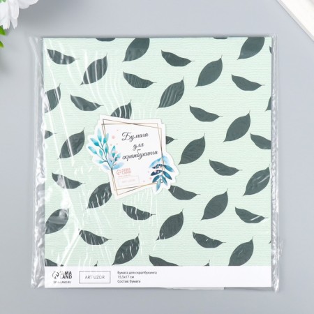 Scrapbooking paper bilateral "avocado" density 180 g 15.5x17 cm-5