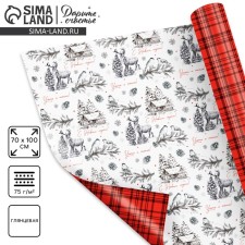 Paper packing gloss double -sided 