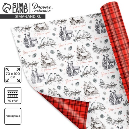 Paper packing gloss double -sided "New Year's graphics", 70 x 100 cm, New Year