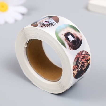 Stick Paper "Wild Beasts" d = 2.5 cm 500 pcs in a roll 3x6.5x6.5 cm-1