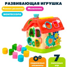 Developing toy 