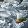 Bed linen Ethel duet Scandi 143x215 cm - 2 pcs, 220x240 cm, 70x70 cm - 2 pcs