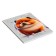 Diary for grades 1-4, solid cover "Kruglyash", glossy lamination, block 60g/m²