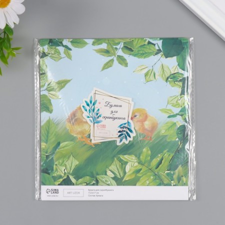 Scrapbooking paper "Chickens on the grass" density 180 grams set 10 pcs 15.5x17 cm-4