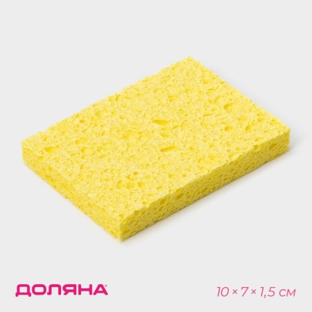 Polululous sponge for dishes, for art 9335262, 10 × 1.5 × 7 cm-1