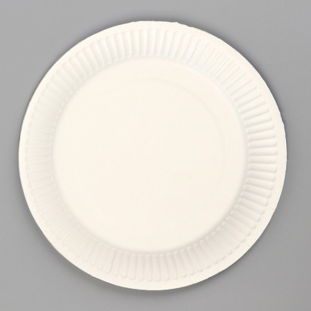 Disposable paper plate "Super-porch" (18 cm)-2