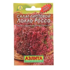 Lollo Ross salad seeds of the leaf 