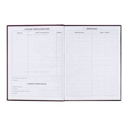 Universal diary for grades 1-11, cats 3, solid cover 7BC, glossy lamination, 40 sheets-5