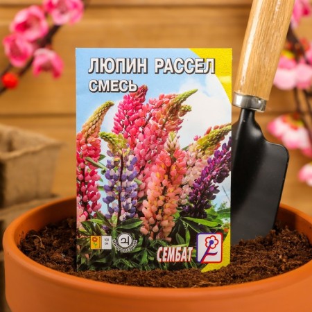 Flowers of lupine "Revenge", 0.4 g-2