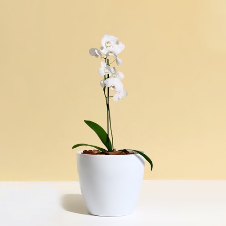 Flower pot, d = 17 cm, 2.7 l, plastic, white-2