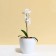 Flower pot, d = 17 cm, 2.7 l, plastic, white