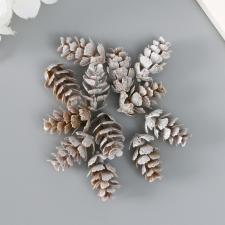 Decor for creativity "bump" set 12 pcs 2.5x1.5x1.5 cm-2
