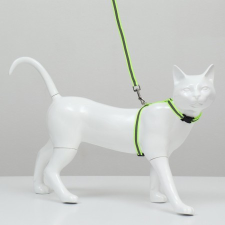 A set for cats is a reflective, width 1 cm, harness 21-35 cm, leash 120 cm, green-4