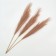 Pampas artificial grass, height 70 cm, 6 brushes, brown color