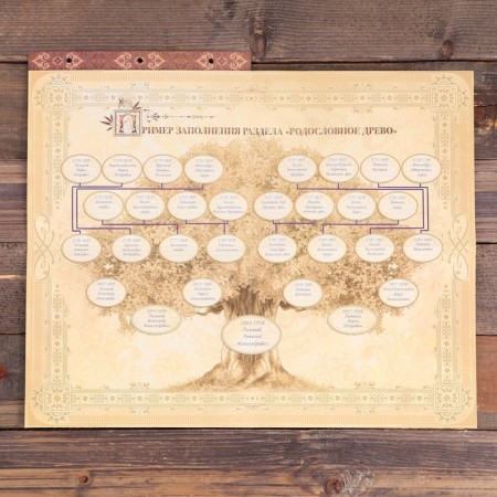 Pedigree book with a frame under the photo "Family"-13