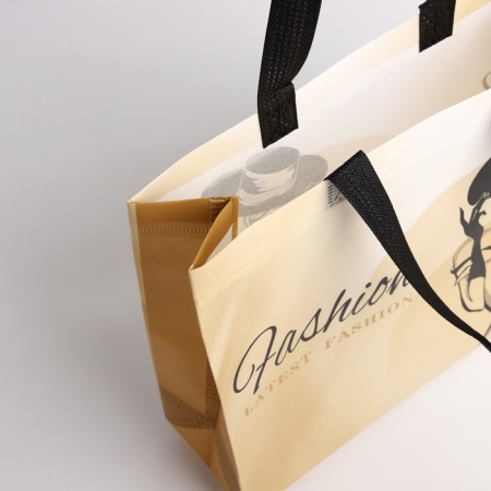 Bag without fastening, beige color-2