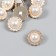 Buttons plastic for creativity on the leg "Pearl in the frame" set of 10 pcs 2.1x2.1 cm