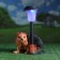 Garden Light "Hedgehog on legs with a lantern" 25 cm mix