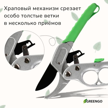 Contact secaterator, 7 "(18 cm), with a ratchet mechanism, plastic handles, Greengo-6