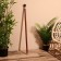 Cane 95 cm, tree shisham