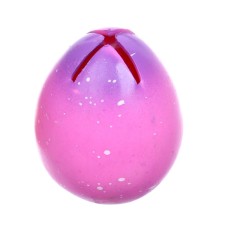 The egg 