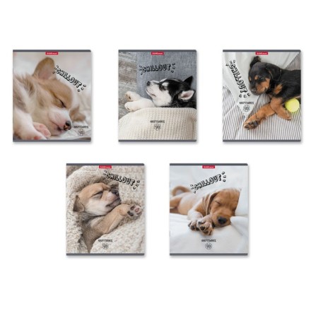 Notebook 48l Erichkrause Chillout, matte lamination, mix