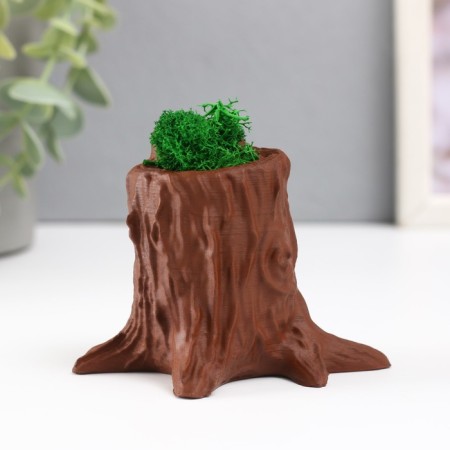Concrete Kashpo "stump" 7.5x8.5x7 cm dark brown with moss (moss stabilized)