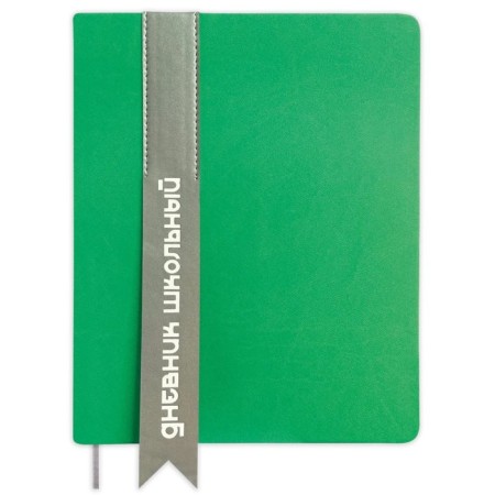 Universal diary for grades 1-11 Lenta, solid cover of artificial leather, applique, silkography, liesse, 48 sheets, green