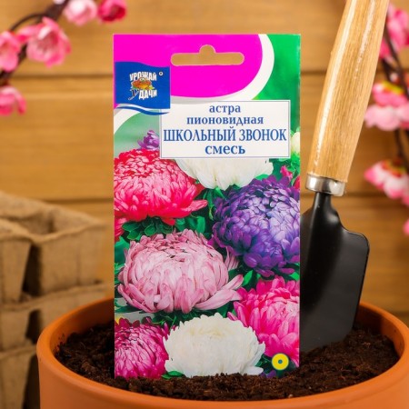 Flowers Astra Flower Mixture "School Bell", Pionovid, 0.3 g-2