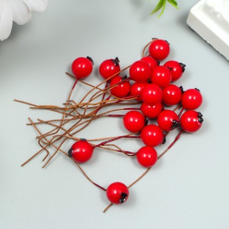 Decor for creativity "Berry - Hawthorn" red 7x1 cm-2