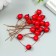 Decor for creativity "Berry - Hawthorn" red 7x1 cm