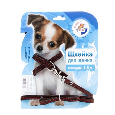 Set "Zononic": a slope with a leash for puppies, 150 x 0.12 cm, leather, mix-1