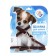 Set "Zononic": a slope with a leash for puppies, 150 x 0.12 cm, leather, mix