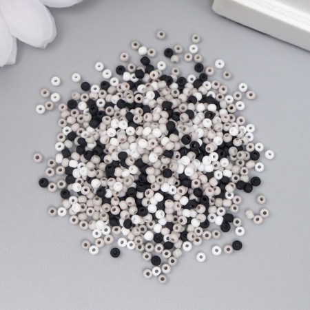 Glass beads 11/0 "Matte. Melange Black and White" 10 g