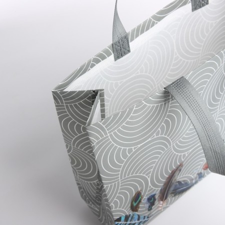 Bag without fastening, gray color-2