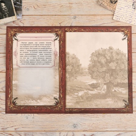 The genealogy book in the box "Tree of Life", 56 sheets, 20 x 26 cm-12