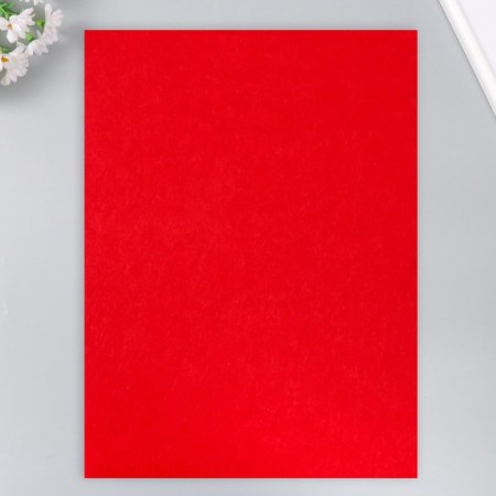 VETR 1 mm "coral" set 4 sheets 30x40 cm-3