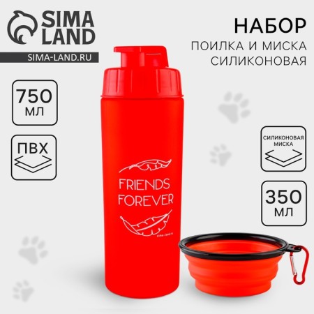 Set of drinking bowl and silicone bowl "Friends forever"