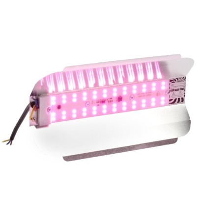 Phytoprotter LED Luazon SDO09-50, 50 W, IP65, 220 V, multi-passer., Bright-1