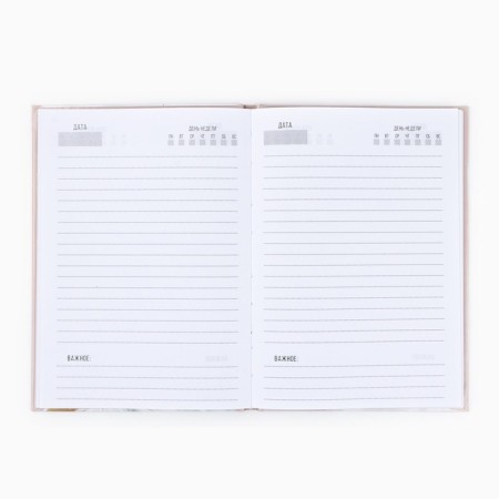 Diary A5, 80 liters, a solid cover "Teacher: Golden Globe with a pen"-2