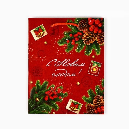 Package Gift New Year Laminated "New Year's History", MS 18 x 23 x 8 cm, New Year-3
