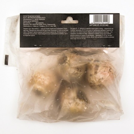 Hyacinth East Odysseus, rr 14/15, 4 pcs-1