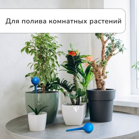 Auto -polywave for indoor flowers, 380 ml, mix, plastic, height 16 cm-1