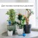 Auto -polywave for indoor flowers, 380 ml, mix, plastic, height 16 cm
