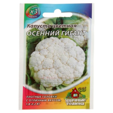 Seeds Cabbage Color "Autumn Giant", 0.1 g Series Hit X3-4