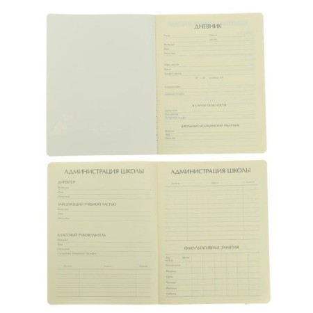 Universal diary for grades 1-11, 48 sheets “Penguin and ice cream”, hard cover, artificial leather, tinted block 70 g/m2-3